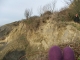 Landslide
