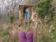 Squatted homes