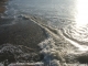 water14.jpg