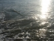 water16.jpg