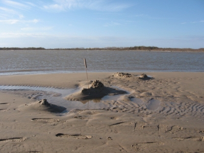 Evidence of Shindigs Past (shiny!) Evidence of Shindigs Past (shiny!)