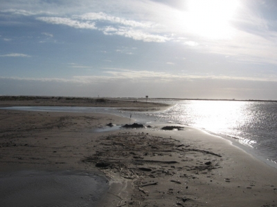 Glare of Winter Glare of Winter