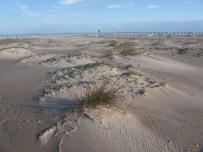 Life on Mars Life on Mars