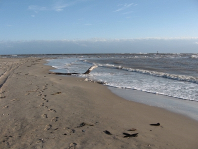 Brownian Beach Hiking Brownian Beach Hiking