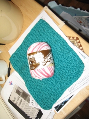 Mooore yarn, flanked by another of my legion of dishcloths.