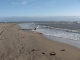 Brownian Beach Hiking