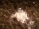 strange substance