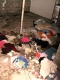 The Basement