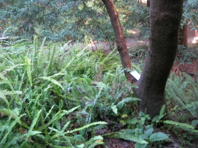 FOUR considers its surroundings