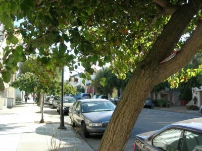 FIVE enjoys the breeze...