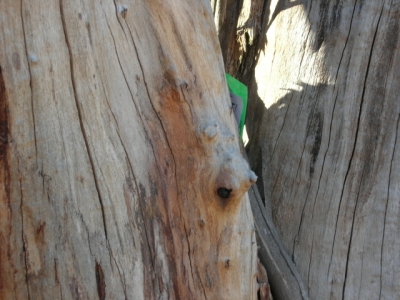 TWO is nearly inaccessible...