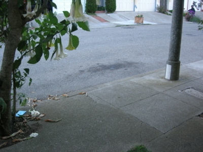 ...with its muse, upper right.