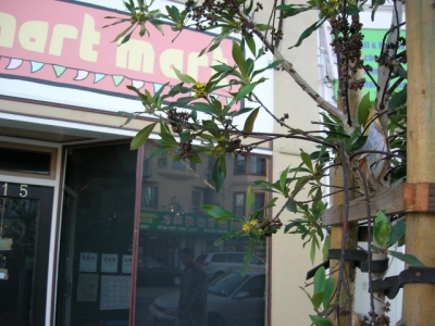 SIX admires its inspiration.