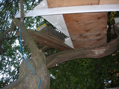 ONE cunningly hides.