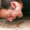 slug-fest