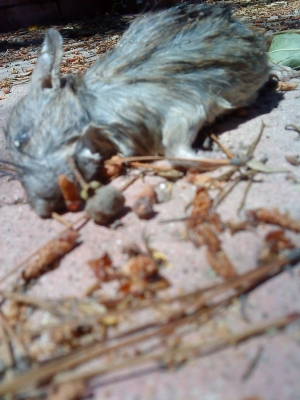 by death:drowned only