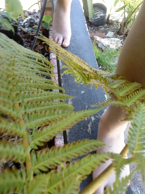 rushing gently swiftly creeping