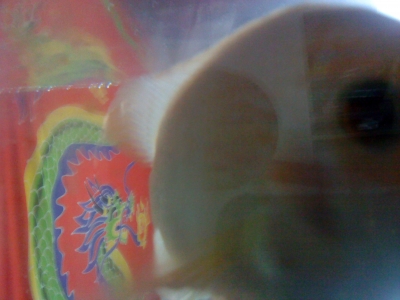 body with its spirit floated