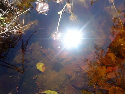 the tide's acute weaving murmur