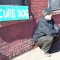 CurbDogg.jpg