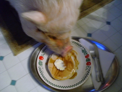 FEAST!