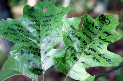 annotation_1_2.jpg