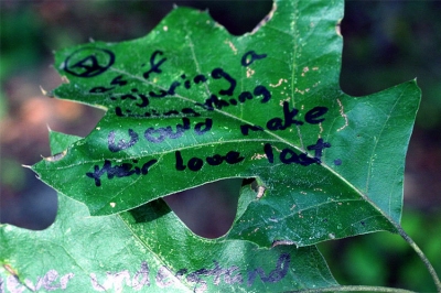 annotation_5.jpg
