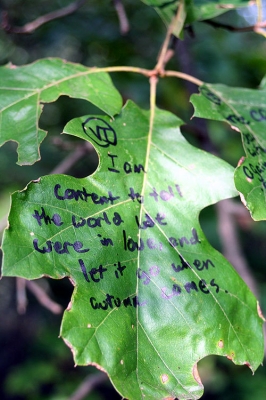 annotation_6.jpg