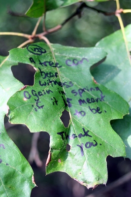 annotation_7.jpg
