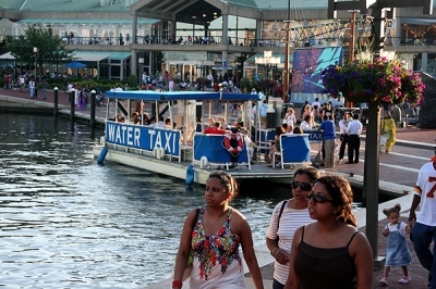At the docks At the docks