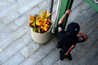 Homage to Smedley Homage to Smedley