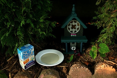 and a saucer of the closest thing my household has to milk