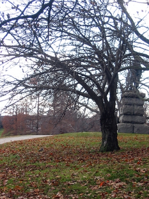 ignored bait, with statue in background. ignored bait, with statue in background.