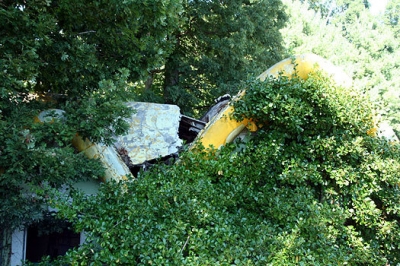 enchanted forest cottage, sept 08