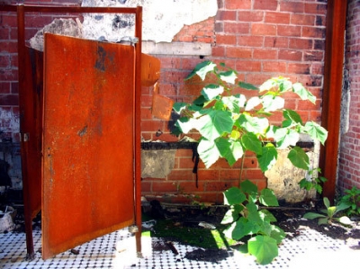 thistle mill bathroom, aug 05