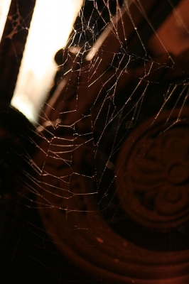 lights and spiderwebs lights and spiderwebs