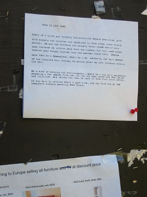 Copies were pasted on bulletin boards outdoors.