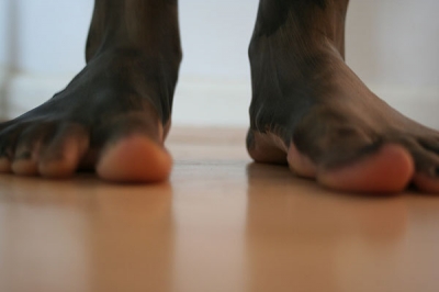 feets feets