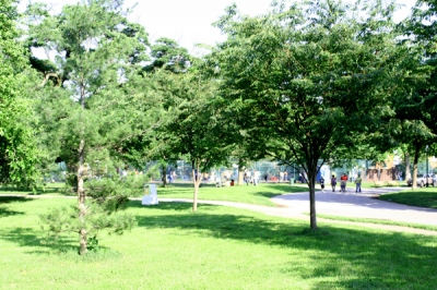 Patterson Park - more trees Patterson Park - more trees