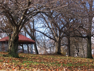 pavilion bait pavilion bait