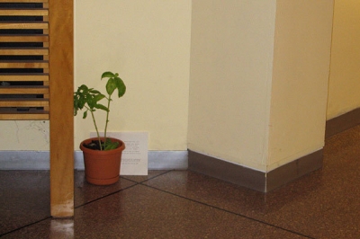 The original typewritten message would stay with Basil