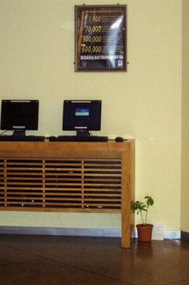Basil in the lobby