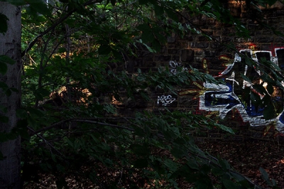 cookie is on the left.