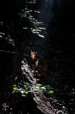 this is really big and you want to click on it.