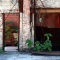 outside the thistle mill bathroom, sept 08