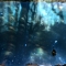 Unstill Life by saille is planting praxis Unstill Life by saille is planting praxis