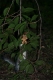 and the squirrel gets it before i can even turn around.