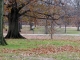 first squirrel sighting
