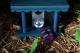 modern research tells me faeries love stripey socks.