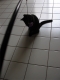 caught!